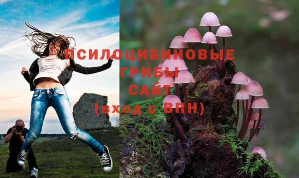 прущая мука Зеленодольск