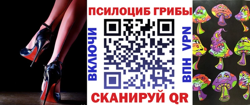 Псилоцибиновые грибы мицелий  Купить закладки  Горняк 